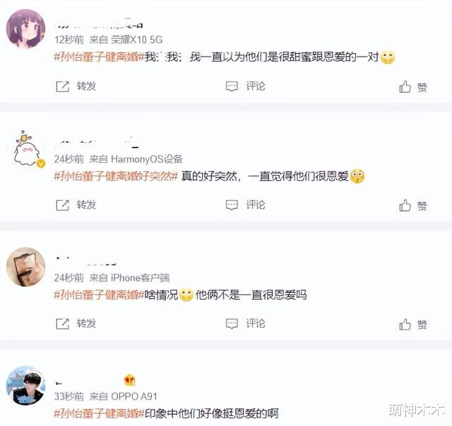 孙怡|孙怡董子健离婚！又是一对没办婚礼的明星，上一对是赵丽颖冯绍峰