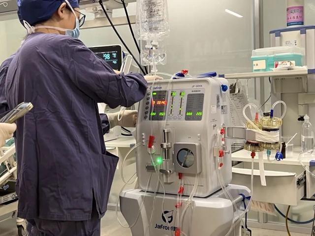 紧急提醒:最近杭州街头大量出现,千万别随意捡!有人一口气吃一斤,当晚送进ICU