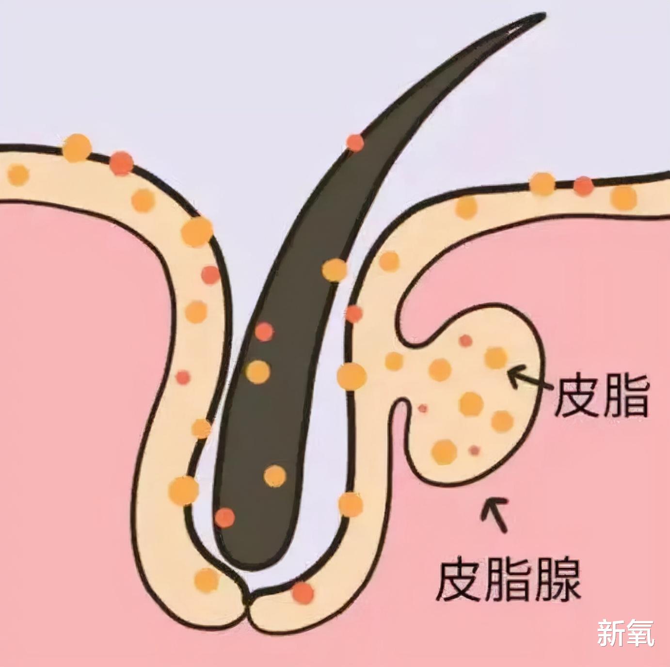 鸡蛋 一夜之间风靡全平台的“白开水妆容”,有多白?