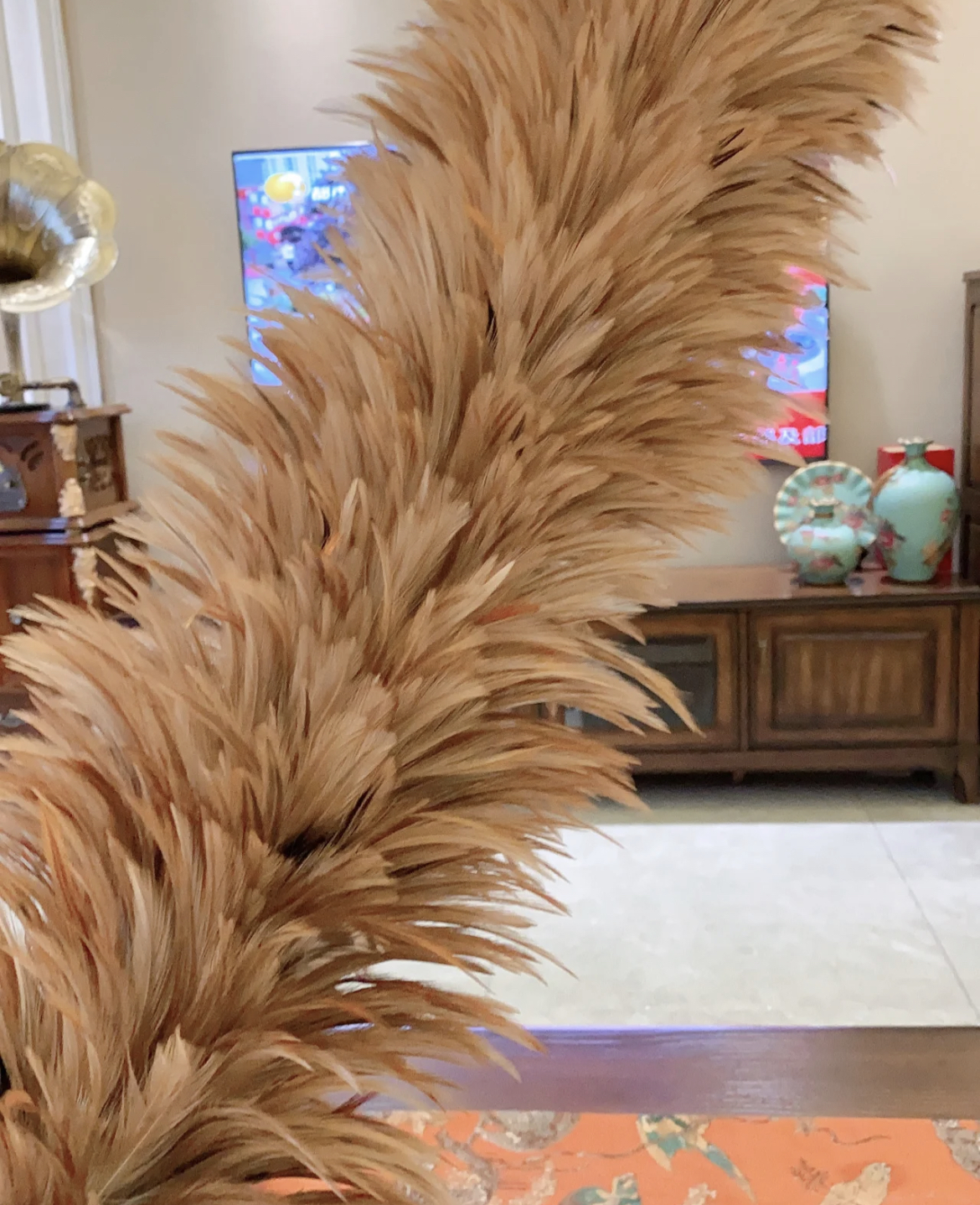 选家居品不要光看新款,这些“老江湖”一点不差,最长能用十几年