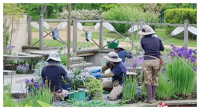 磨西镇|北海道赏花不要只去富良野！花之乡「惠庭」给你超好玩的吃花体验