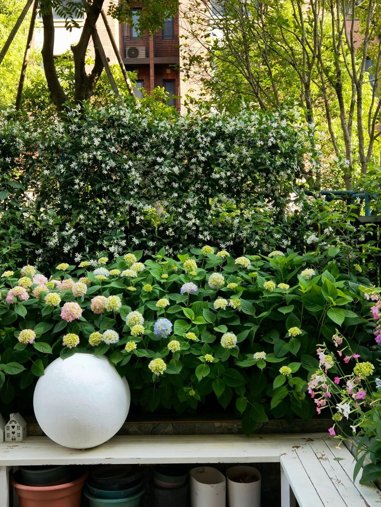 二手房|买了一楼，带110㎡院子的房子，历时二年打造功能性小花园，太好看了