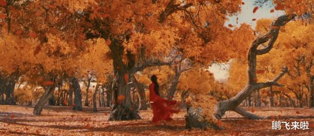 王思聪|跨国资本，递了一把刀，随后，武侠电影消失了