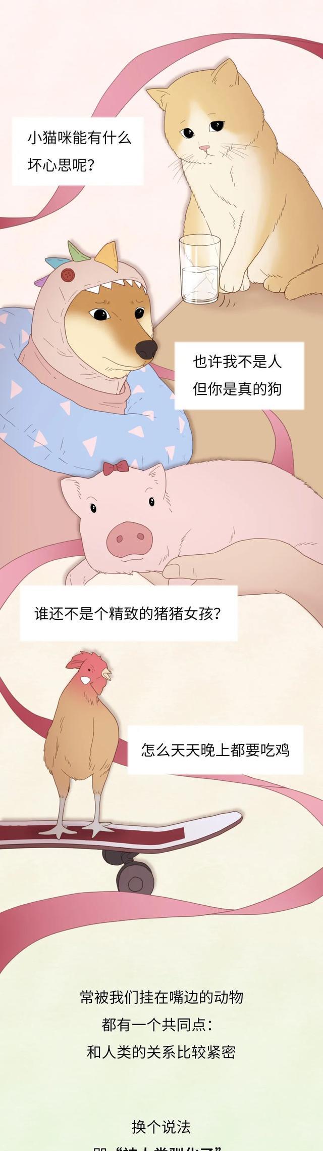 为什么人类“驯化”了猪,却没有“驯化”老虎?一组漫画揭秘!