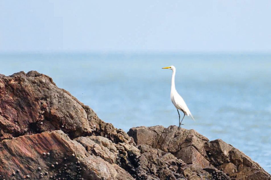 海岛|去海岛只想着游泳？太浪费了