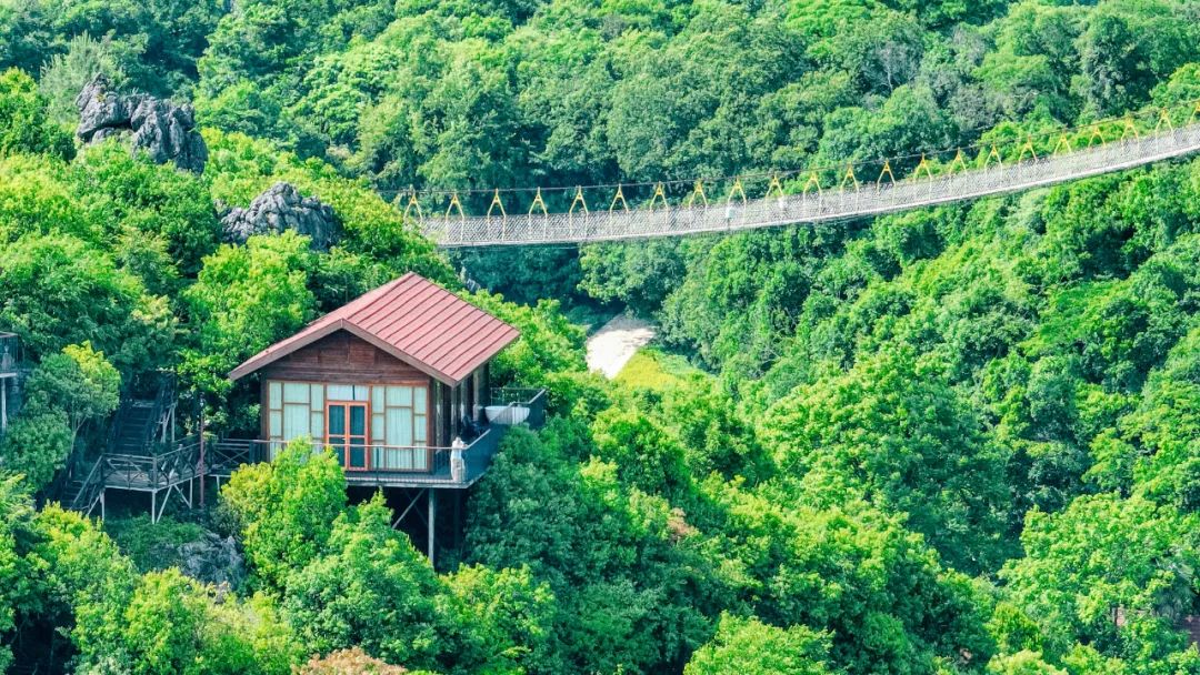 云南|云南有座住在森林的小城，房子建在公园里，在家门口就能泡林中温泉