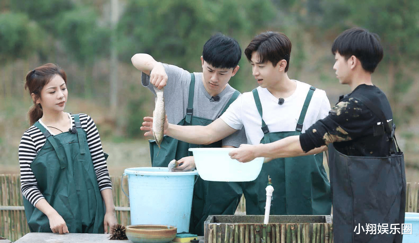 张子枫|即将迎来“向往的生活6”,张子枫再度出山,刘宪华始终是未知数