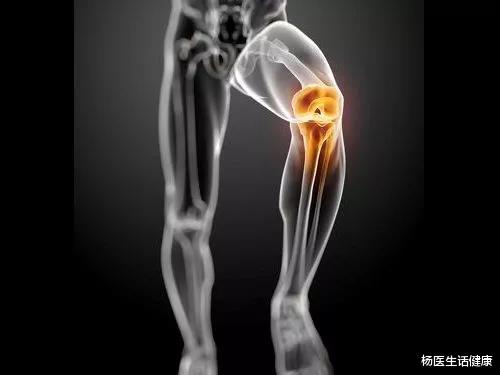 |让你寝食难安的髌骨软化症，其实根本不是病