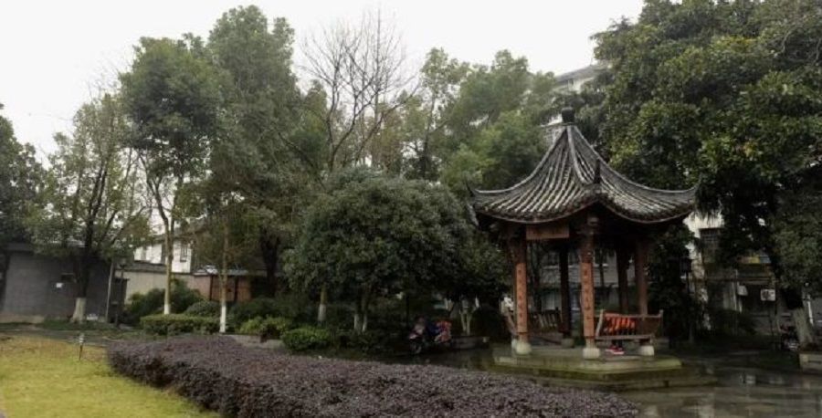杭州|初夏出游记，赏花游湖两不误，就在杭州近郊的山水美景里