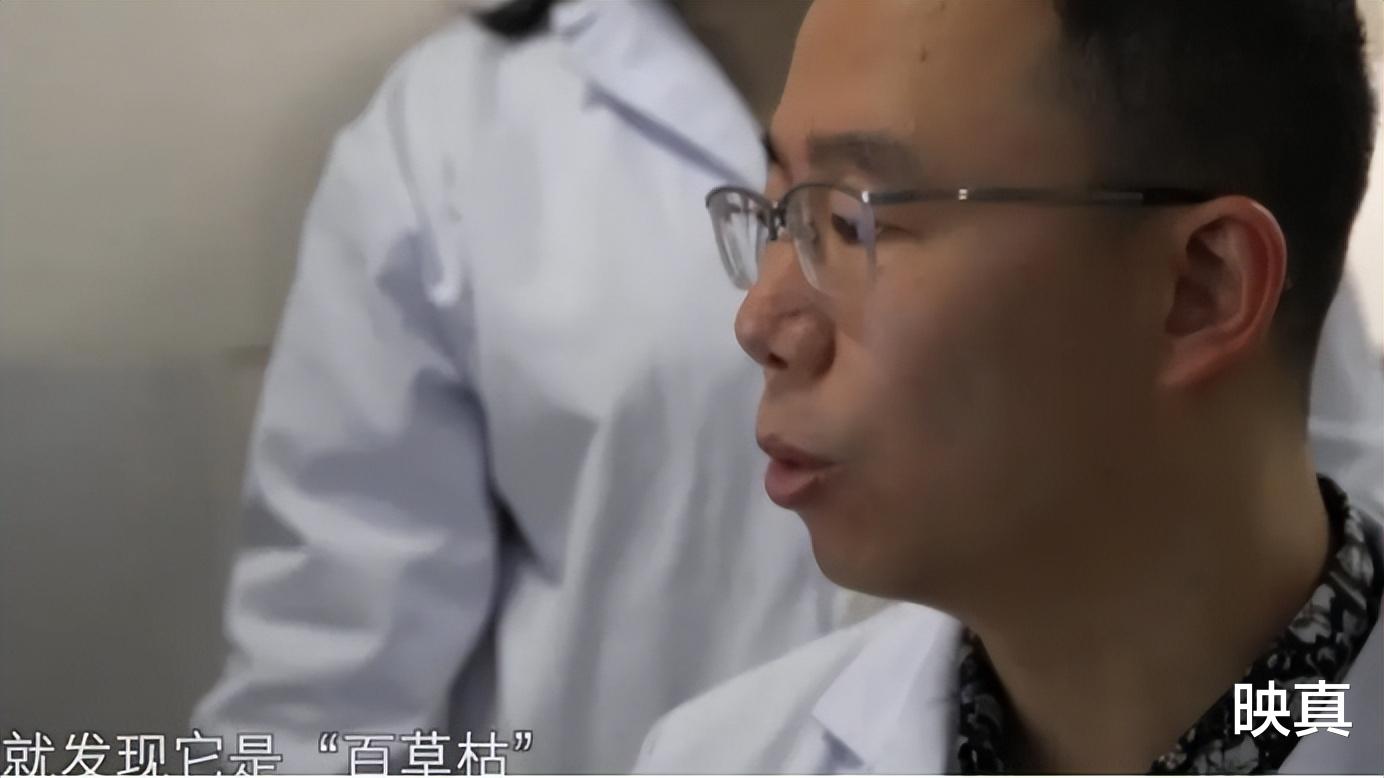 百草枯:被喝到停产的农药,其实早有解药,只因3个原因无人生产