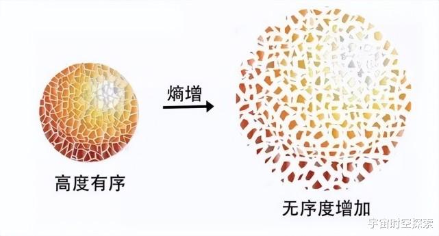 它是人类最亲近的“伴侣”,但我们不知道它是真实还是虚幻的!