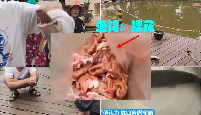 |昆明小区再现4条鳄雀鳝,物业欲抽水除害,钓鱼人:我来!