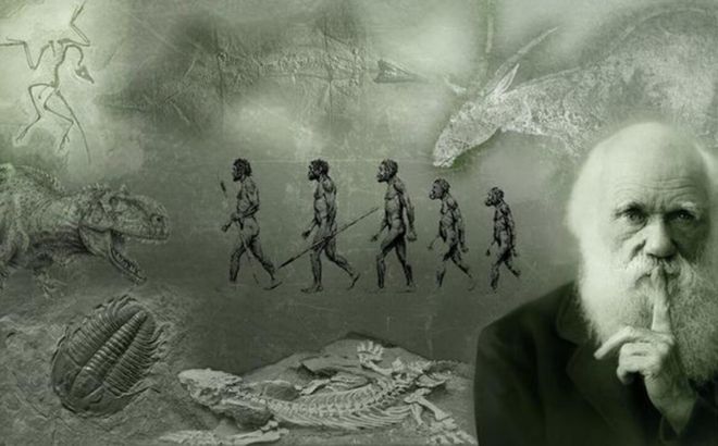 人类历史180万年,其中179万年碌碌无为,为何突然变成高级生物