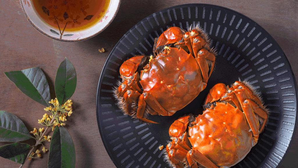 阳澄湖大闸蟹|蟹券里的阳澄湖