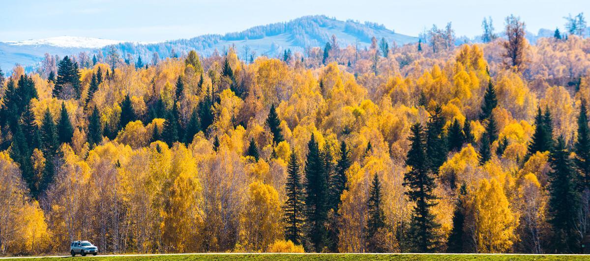 女孩|女孩自驾新疆被困路上，因疫情没吃没喝求助网友，评论区人间清醒