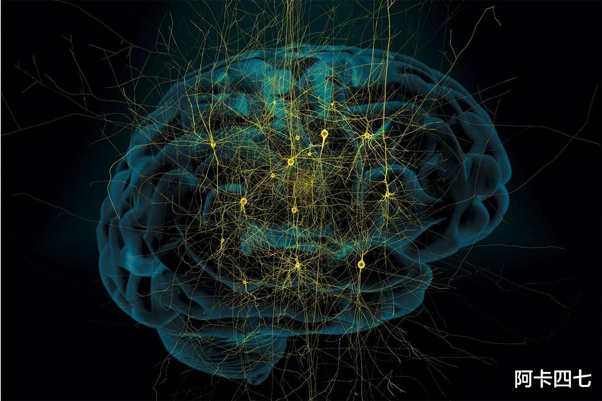 超恐怖的科学悖论:缸中之脑已经出现,人类世界是虚拟的吗?