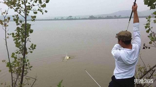 带鱼|钓鱼界的天花板!男子直接扛来38米的大炮,姿势没有四五年学不会