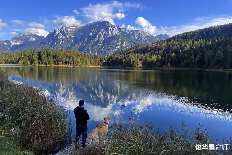 生肖|今年2022年转运成功，被好运包围的生肖