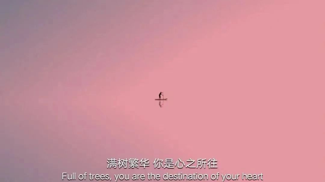 |适合表白的文案
