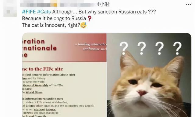 matebook|可能从今往后，你想下载的所有资源都不用花钱了