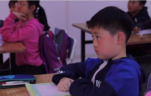 女孩|科睿职业:为什么男生学习开窍慢