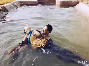 海清|海清形象崩塌,被网友骂惨:她到底是不是在丑化农村人?