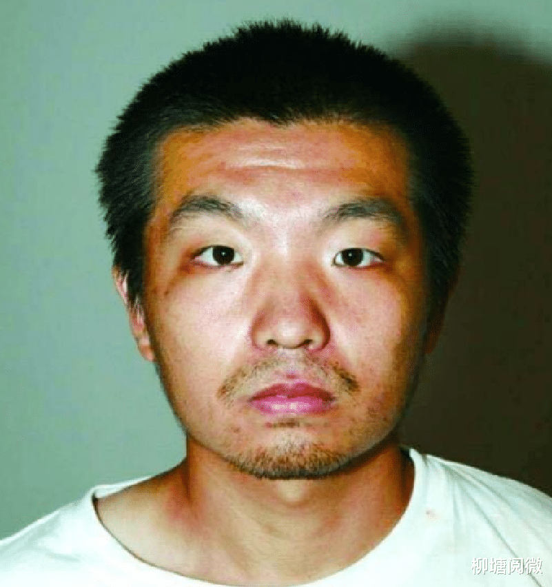 2008年杨佳因自行车被查，持刀独闯民警办公楼，造成6死4伤