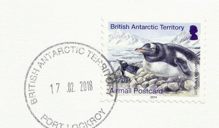 招聘|南极洲招人“数企鹅”，没wifi还得给企鹅铲屎，却有6000人抢着去！