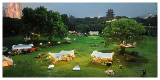 杨幂|看《花儿与少年》发现杨幂是真的“会”