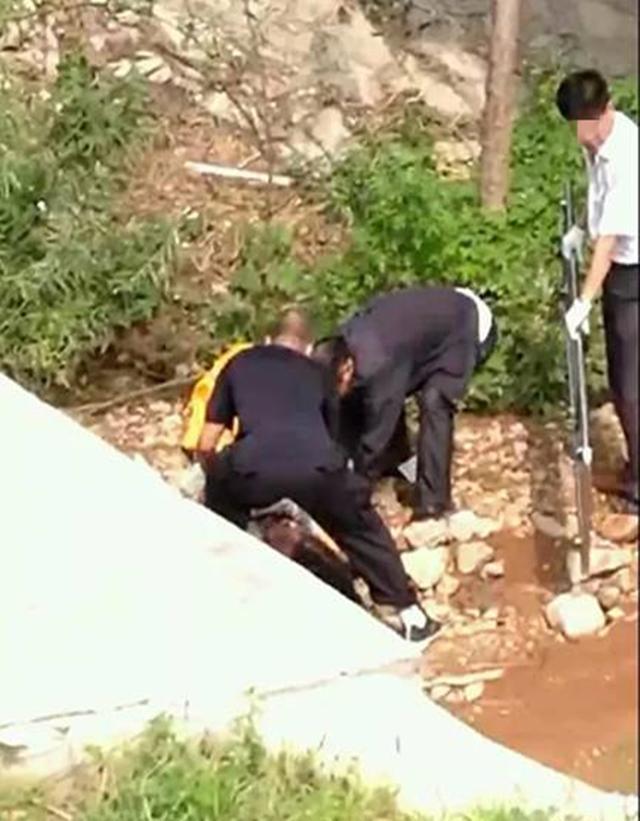 案例:女医生失踪多天,警方毫无头绪,床上的一块尿迹成破案关键