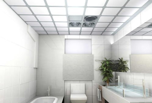 卫生间用灯暖浴霸好?还是风暖浴霸好?很多家庭都选错了地方