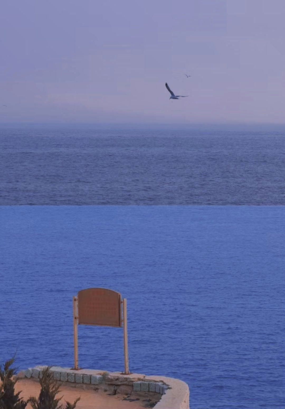 五台山|日照旅游,海风吹来了整个夏天,日照旅游攻略