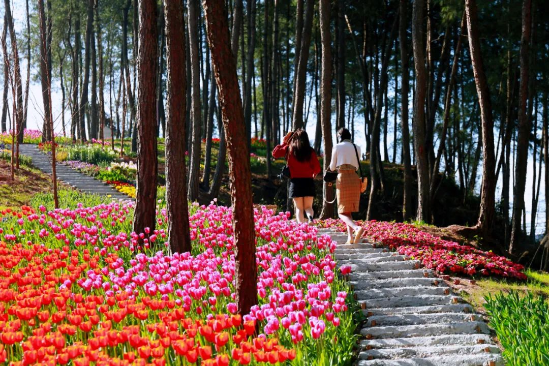 乡村旅游|好消息！渝北再添一个市级乡村旅游重点村