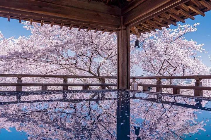 埼玉县|日本社交网络上点赞最多的美景前10，竟然是这些地方