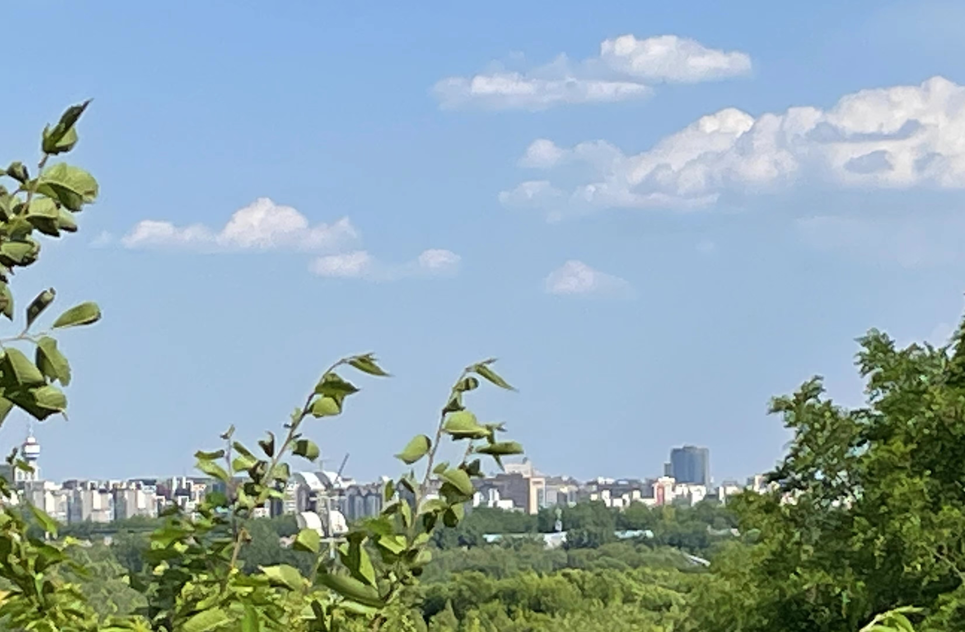 重庆|不早起看到的美景