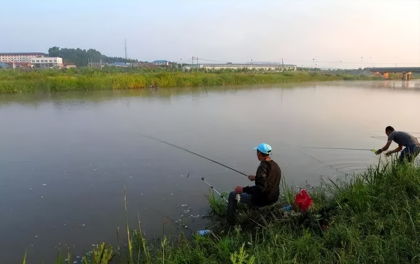 饵料|天气炎热鱼也难钓,别着急,调整思路,天再热也能连竿不停