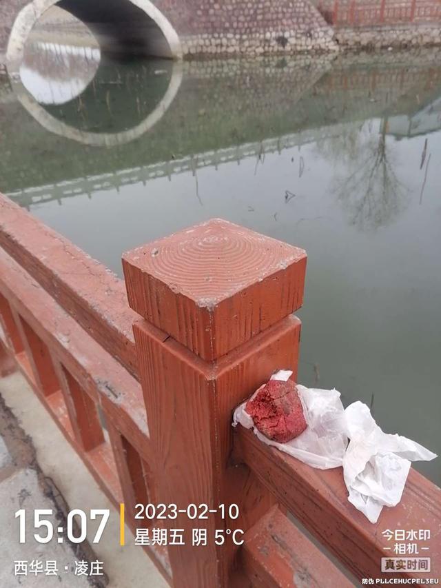 饵料|出钓时间虽短暂,但结果是令人兴奋的