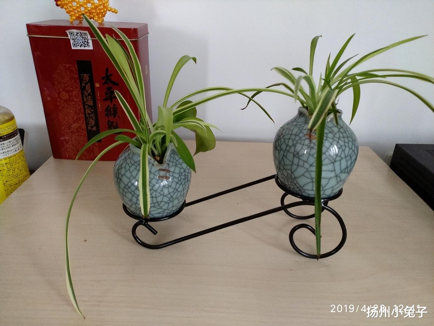 商品房|想不到啊,最终活成了自己讨厌的“败家娘们”