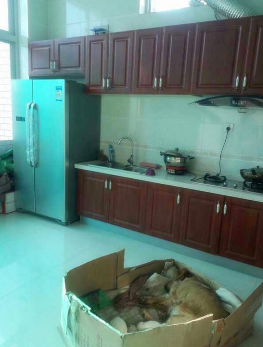 晒晒我的农村婚房,占地面积600平,厨房超级大,卧室谁见过?