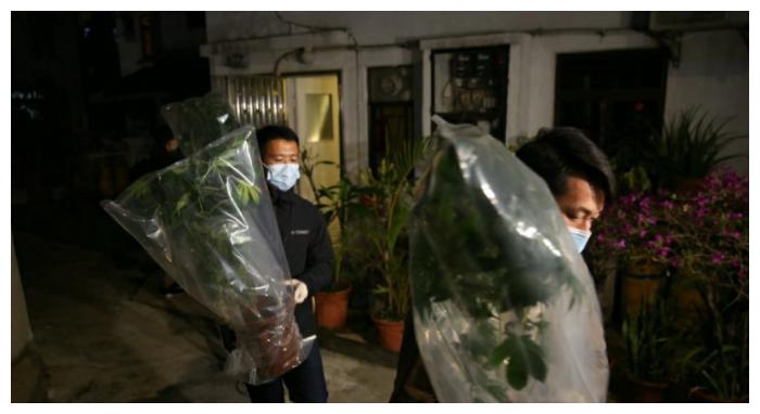 吴耀汉|81岁老戏骨出事，家里搜出大量毒品，生产销售一条龙