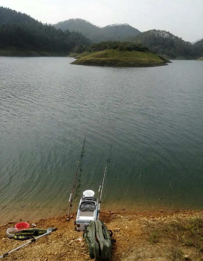 广东省|广东云浮，男子在钓鱼时认识一女子。两人将鱼拿去加工食用并饮酒后发生了关系