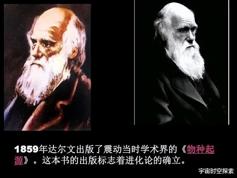 如今的黑猩猩为何没有进化成人?难道进化论是伪科学?