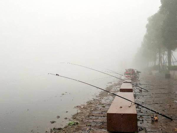 霜降|在春季有5个钓鱼“空军天”，钓友们遇到了要避开，经验之谈
