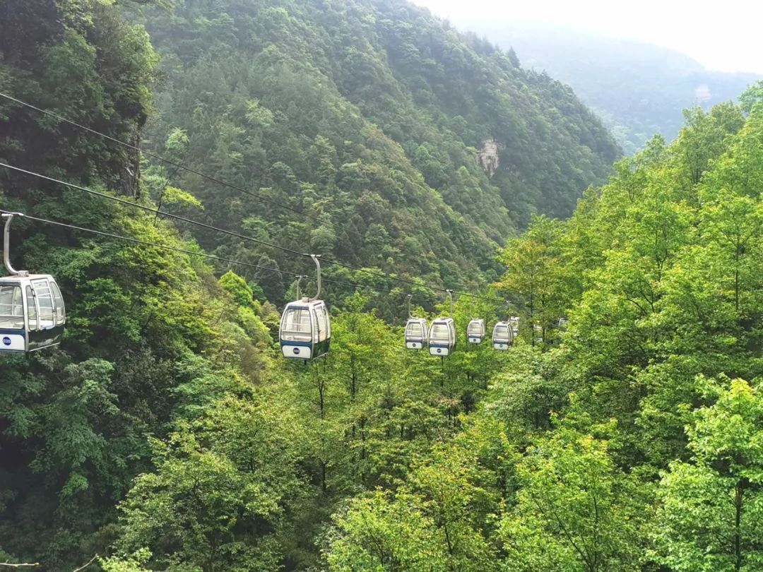 |旅游资源平平的万盛，却逆袭成为康养圣地！