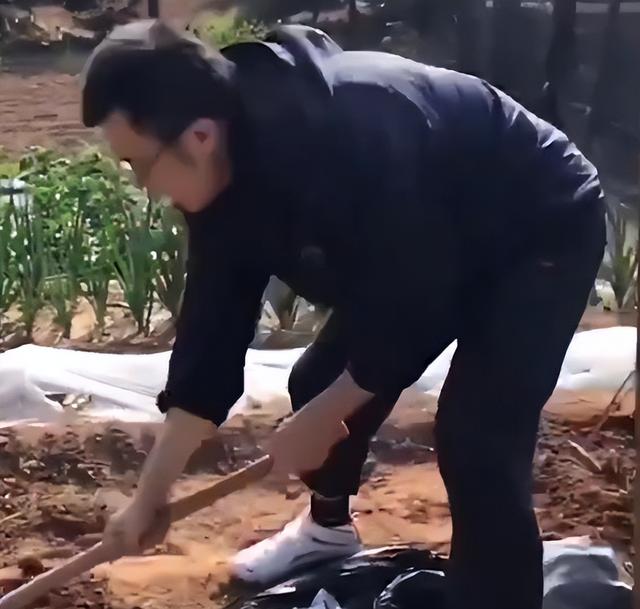 韩德君|韩德君夺冠后不改初心！休赛期回老家帮父母耕种，900平米别墅曝