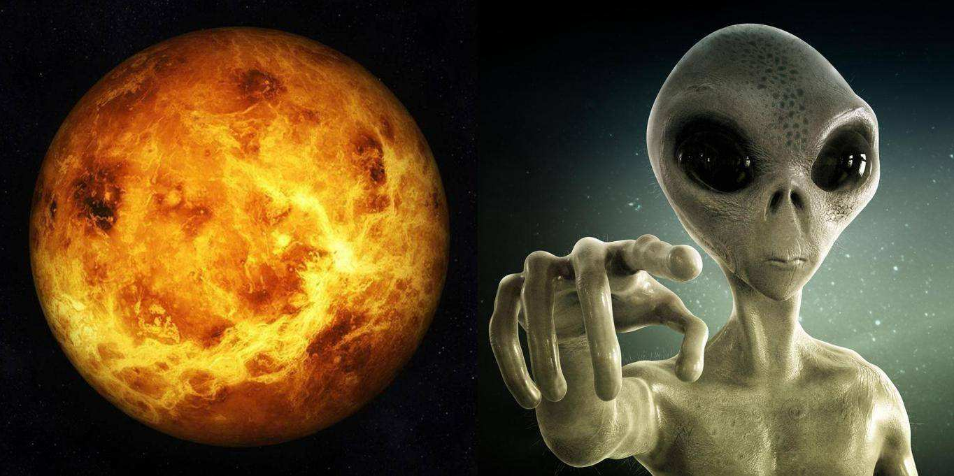 “金星人”降维地球,讲述人类起源,四种肤色来自四个不同星球?