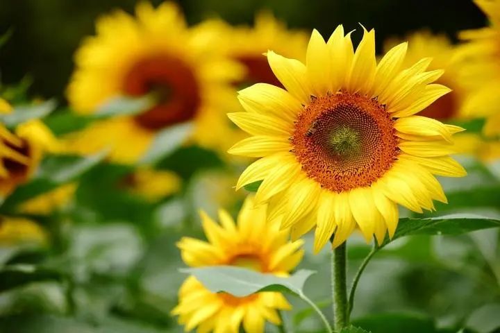 卫哲|微信上爱发朋友圈的人，不是炫耀，十有八九是这几种人！