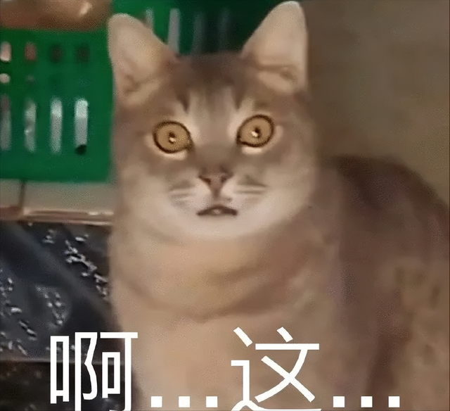 霍思燕|有没有什么娱乐圈都心知肚明的八卦？