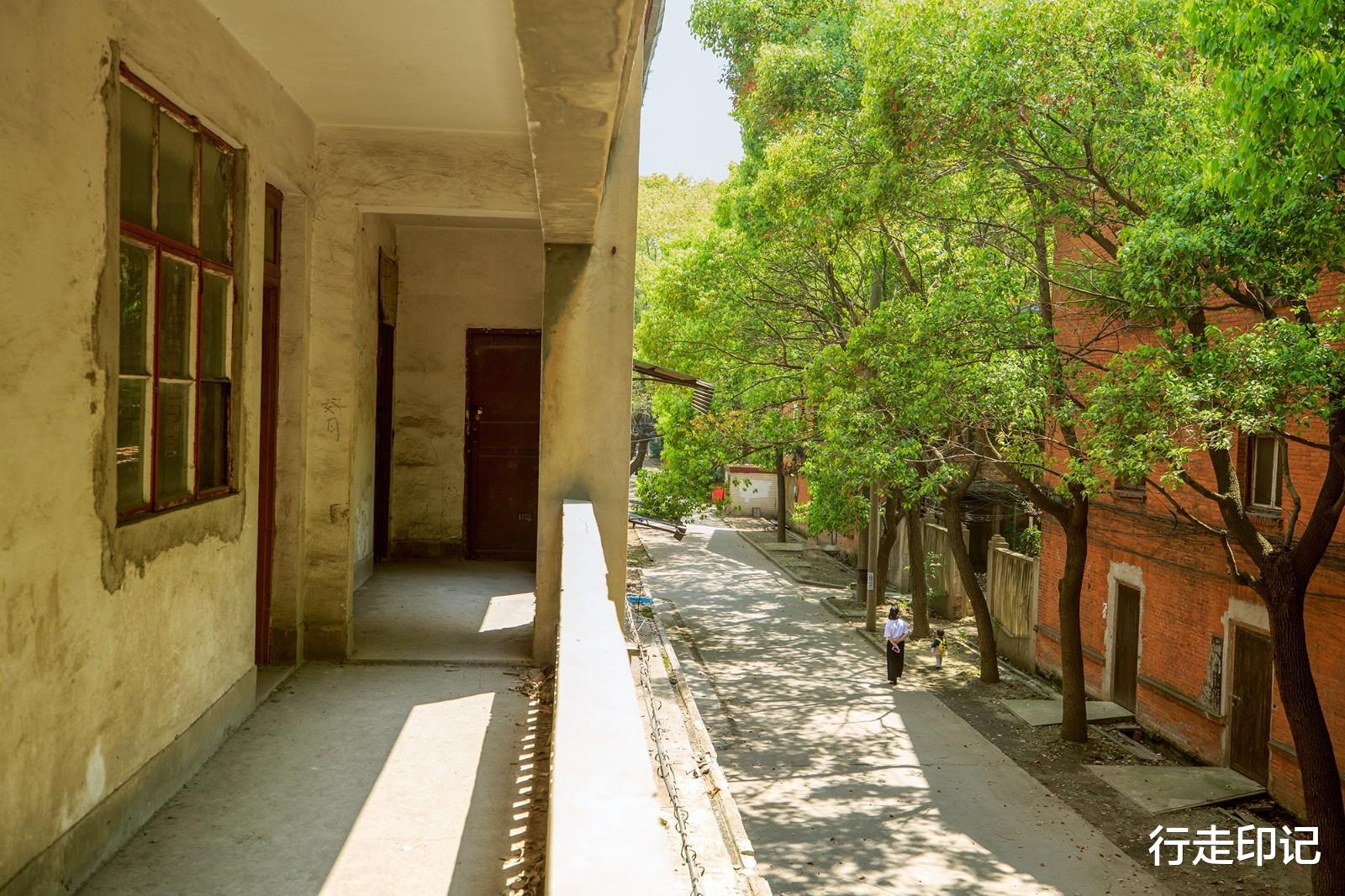 摩登时代|运河之畔的红洋房,藏着父辈们的摩登时代