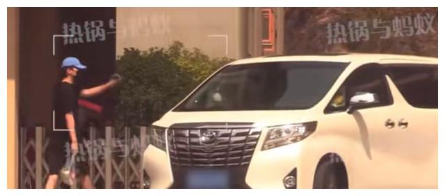 张雨绮|张雨绮带龙凤胎用餐，饭后将俩娃给保姆照顾，自己跟疑似新欢离开